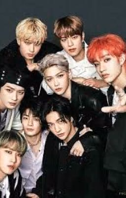 Телохранительница Stray Kids