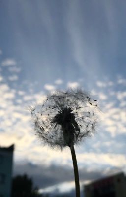 Урок, преподавшая жизнь