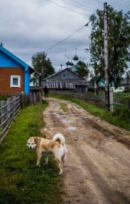 деревня