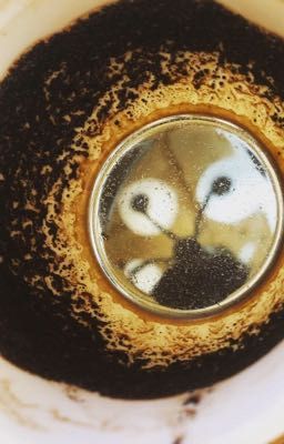 История обычного человека