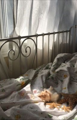 Потерянный в рассвете.