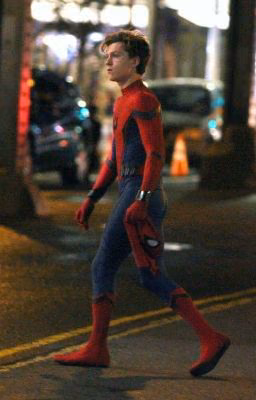 We Have Become More Than Friends, Spider