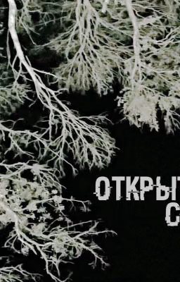 Открытые сети