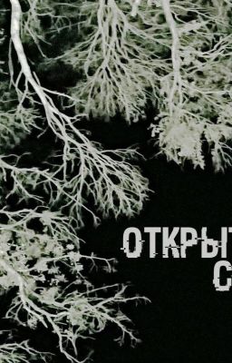 Открытые сети