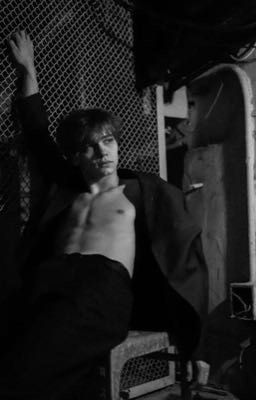 враг моего брата. 