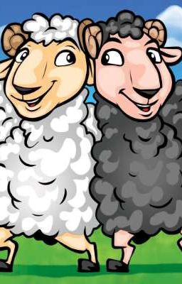 Потные лохи