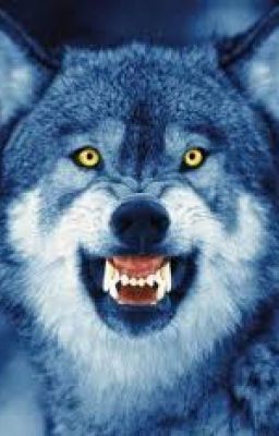 Танцы с волками