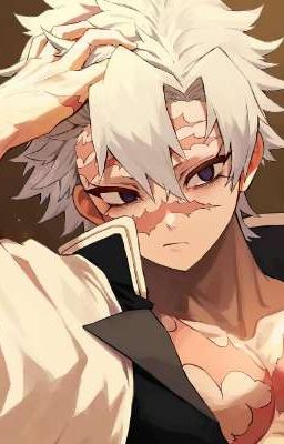 Санеми и Т/и