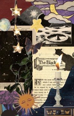 Кот, гадалка и потомственный медиум 