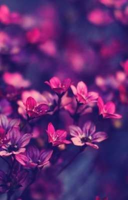 Короткие истории из моей головы.