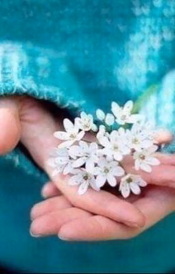 Лайфхаки  для всех и много всего разного✨