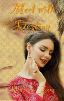 Meet with Destiny [Niall Horan]