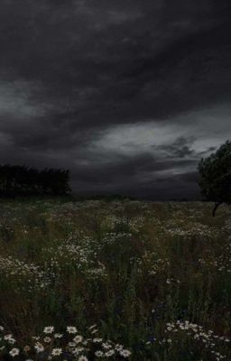 Одна на двоих💞