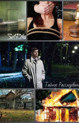 "Тайное расследование"