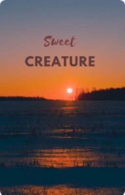 Sweet Creature 