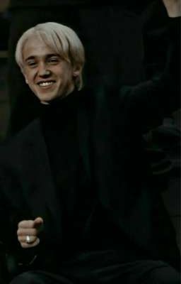 Танцы с Томом 