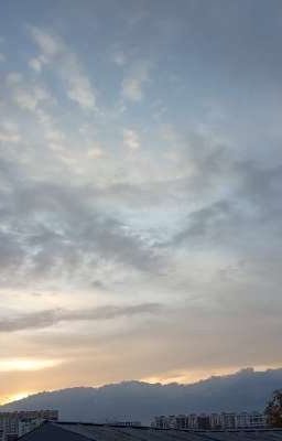 Музыка жизни