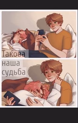 Такова наша судьба...