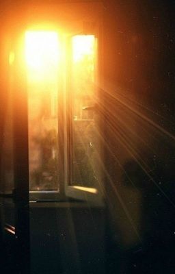 Ночная пора