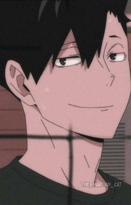 Куроо и Т/и |ЗАКОНЧЕНО|