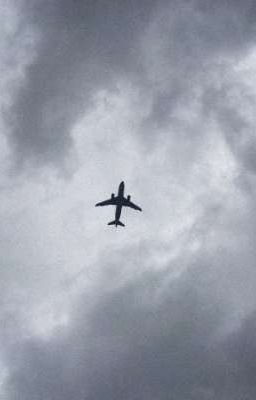 дети с поляны..