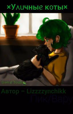 ×Уличные коты×