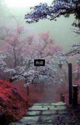 Still
