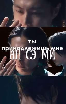 ты принадлежишь мне Ан Сэ Ми.