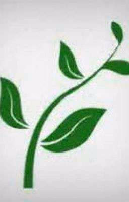 Психология личности.