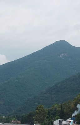 Истории без названия