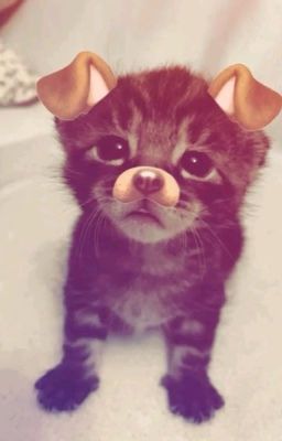 Парочка класса