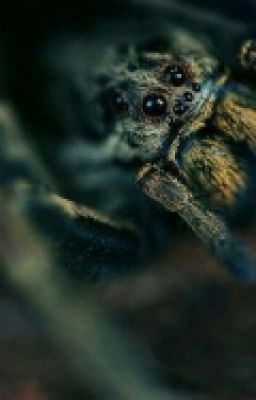 Жизнь в другом теле