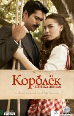 Птичка певчая