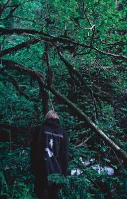 Order 303 // pharaoh