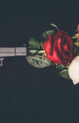 16 shots