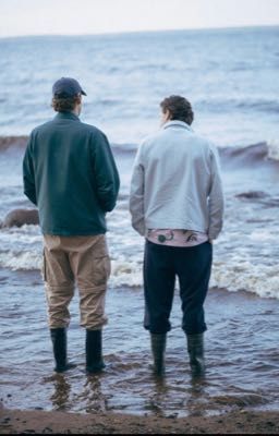 О пушистых и чуть чуть колючих. Артон