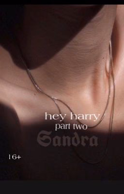 hey harry 2