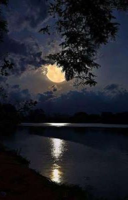 Ночь без сна