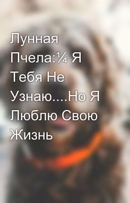 Лунная Пчела:¼ Я Тебя Не Узнаю....Но Я Люблю Свою Жизнь