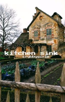 kitchen sink || joshler
