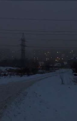 25 число.|| Сутулый