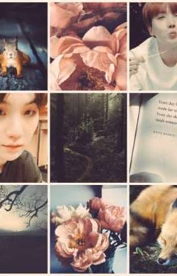 Рыжее Счастье🦊°Yoonseok°