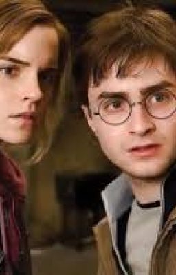 Мы невозможны