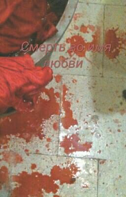 Смерть во имя любви .#Wattys2016