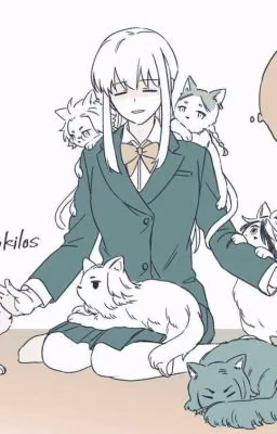 Кошки?!