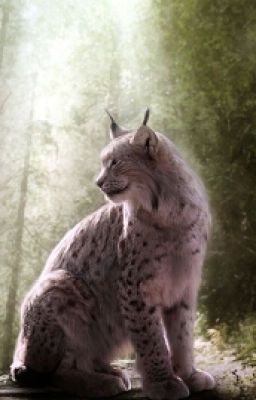 Девочка - рысь