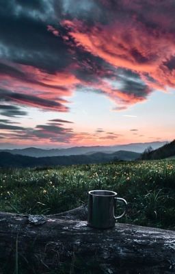 Отчаянные голуби 🕊 