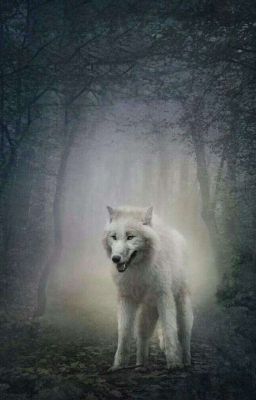 White wolf