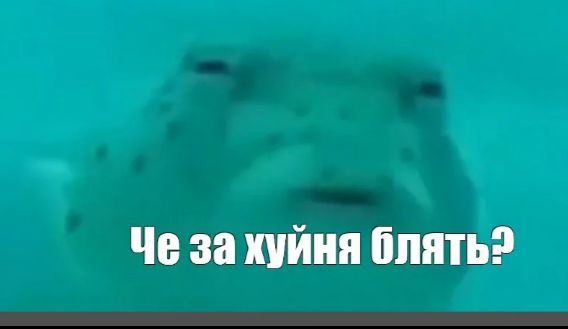 XE5IlA8Mmc3F4DqN7gt8CJzkZ4o5HWB3b5mragRG.jpg
