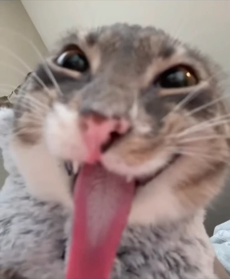 L0D0d59HGyQlZQUTS0fgWb9rNnqksDIntTo4BV07.jpg
